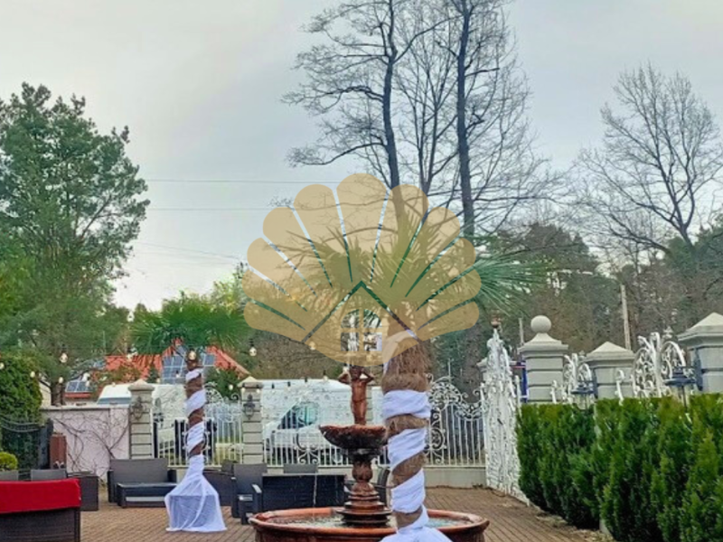 Dom weselny -ul. Hipolitowska